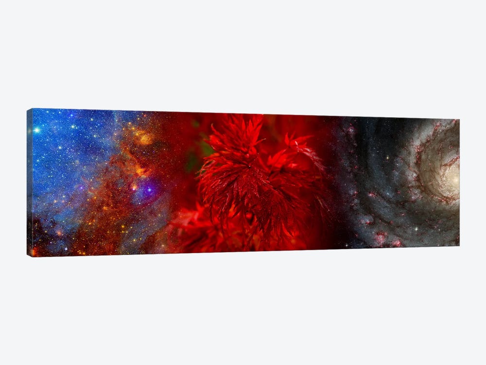 Hubble galaxy with red maple foliage by Panoramic Images 1-piece Canvas Artwork