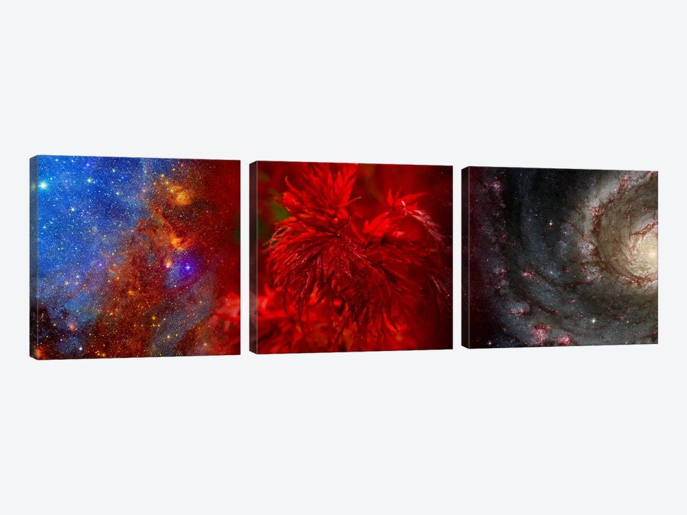 Hubble galaxy with red maple foliage by Panoramic Images 3-piece Canvas Artwork