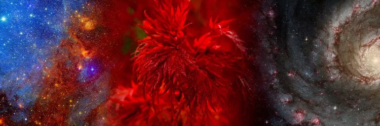 Hubble galaxy with red maple foliage by Panoramic Images wall art