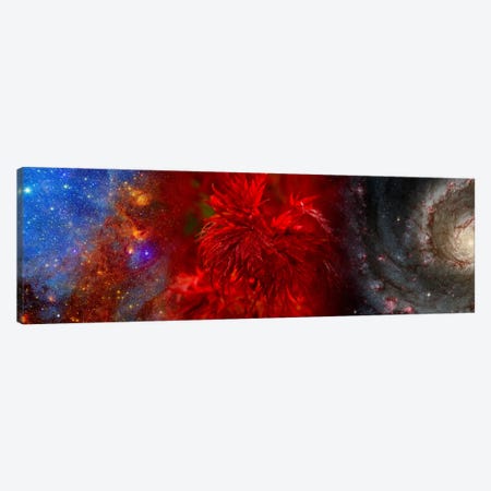 Hubble galaxy with red maple foliage Canvas Print #PIM9958} by Panoramic Images Canvas Art