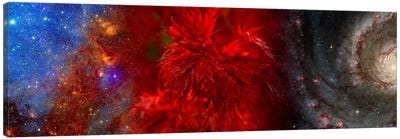 Hubble galaxy with red maple foliage Canvas Art Print - Maple Tree Art
