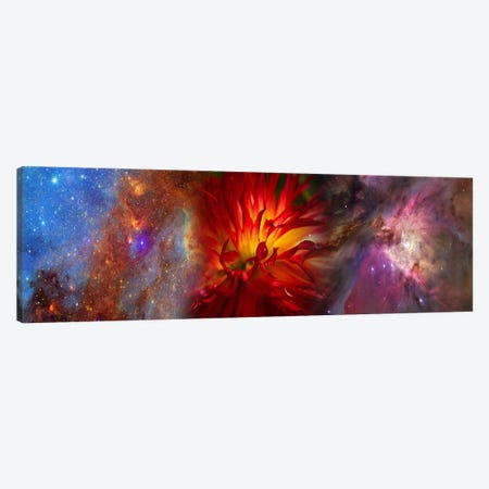 Hubble galaxy with red chrysanthemums Canvas Print #PIM9959} by Panoramic Images Canvas Artwork