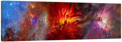 Hubble galaxy with red chrysanthemums Canvas Art Print - Chrysanthemum Art