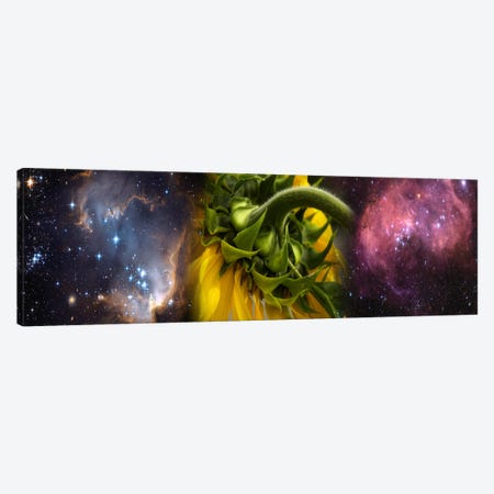 Sunflower in the Hubble cosmos Canvas Print #PIM9963} by Panoramic Images Canvas Art Print