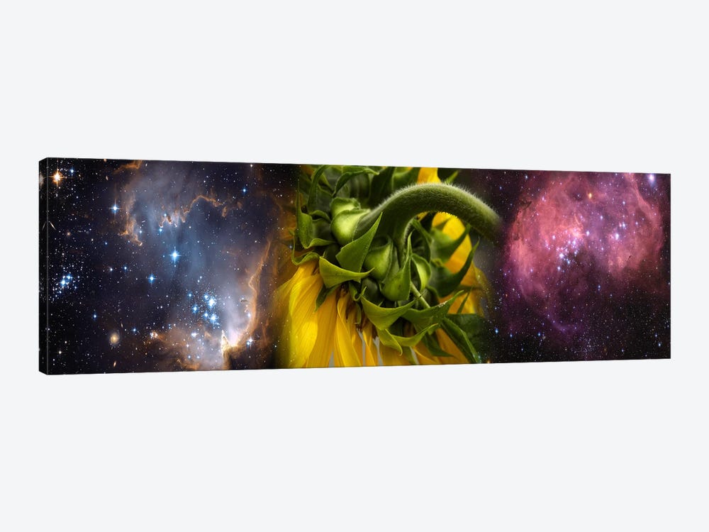 Sunflower in the Hubble cosmos by Panoramic Images 1-piece Canvas Wall Art