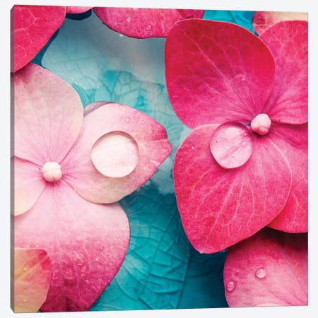 Pink Flowers Canvas Print #PIS100} by PhotoINC Studio Canvas Print