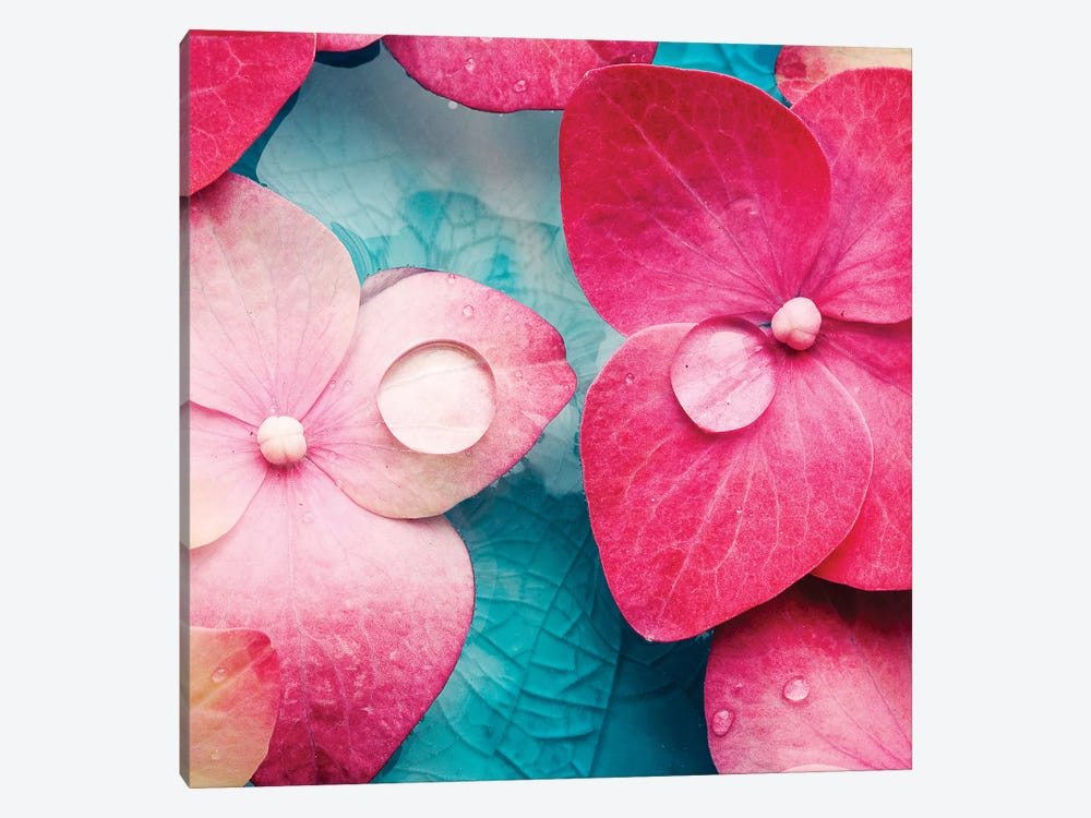 Pink Flowers by PhotoINC Studio 1-piece Canvas Artwork