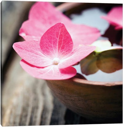 Zen Bowl Canvas Art Print - Floral Close-Up Art