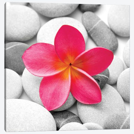 Zen Flower Canvas Print #PIS181} by PhotoINC Studio Canvas Art Print