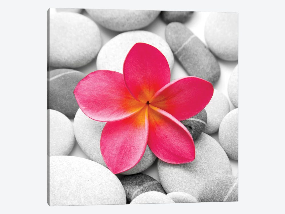 Zen Flower by PhotoINC Studio 1-piece Canvas Print