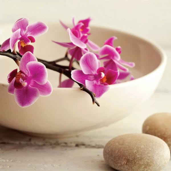 Nature Close-Ups: Zen Pebble II by PhotoINC Studio