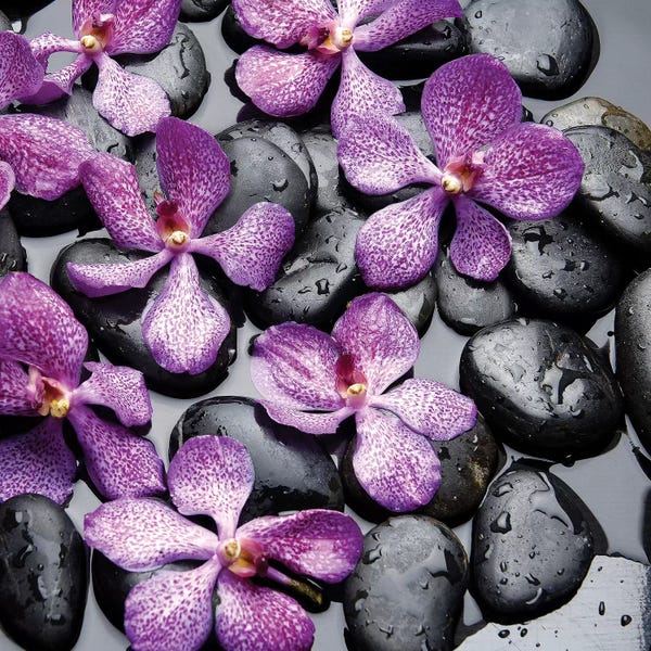 Still Life Photography: Zen Pebbles II by PhotoINC Studio