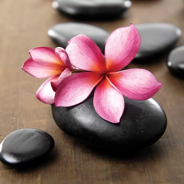 Zen Bedroom: Zen Pebbles IV by PhotoINC Studio