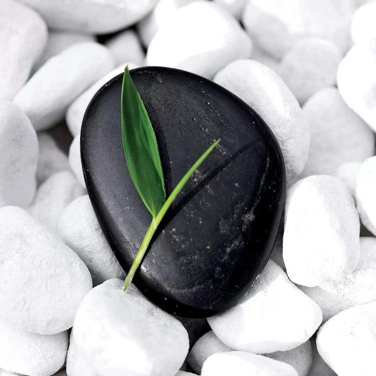 Zen Stone