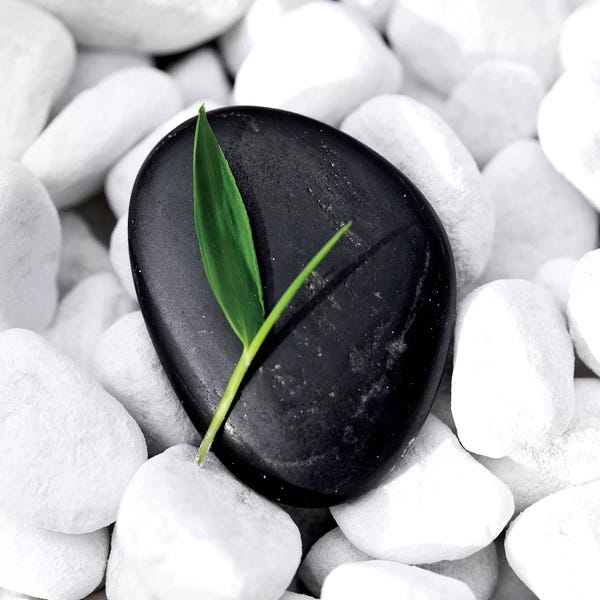 Still Life Photography: Zen Stone by PhotoINC Studio