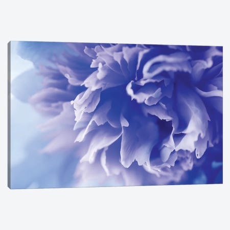 Blue Flowers Canvas Print by PhotoINC Studio | iCanvas