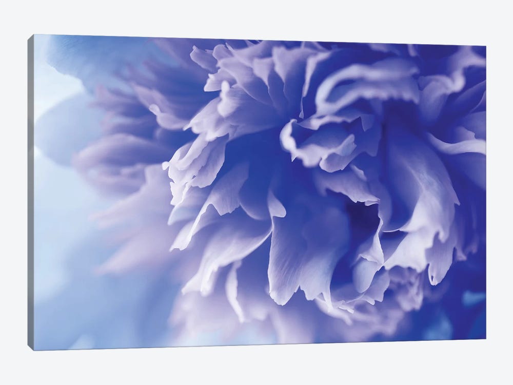 Blue Flower by PhotoINC Studio 1-piece Art Print