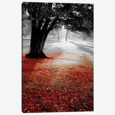 Autumn Contrast Canvas Print #PIS2} by PhotoINC Studio Canvas Print