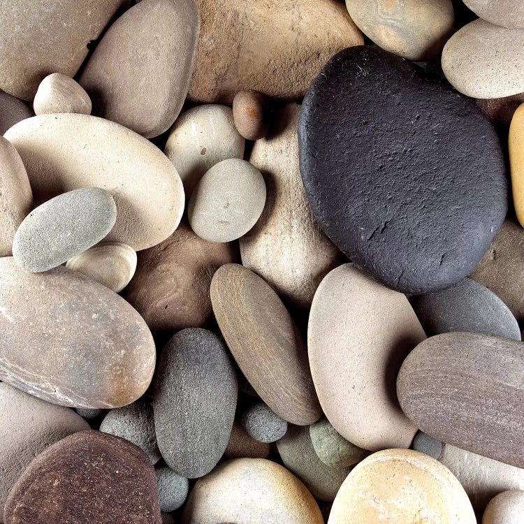 Brown Pebbles by PhotoINC Studio wall art