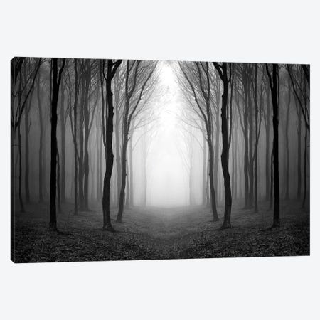 Dark Woods Canvas Print #PIS50} by PhotoINC Studio Canvas Print