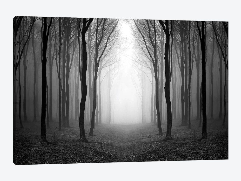 Dark Woods by PhotoINC Studio 1-piece Canvas Print