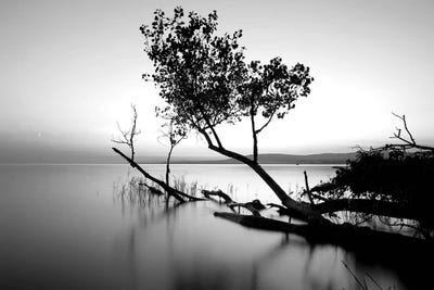 Great Lake by PhotoINC Studio framed wall art