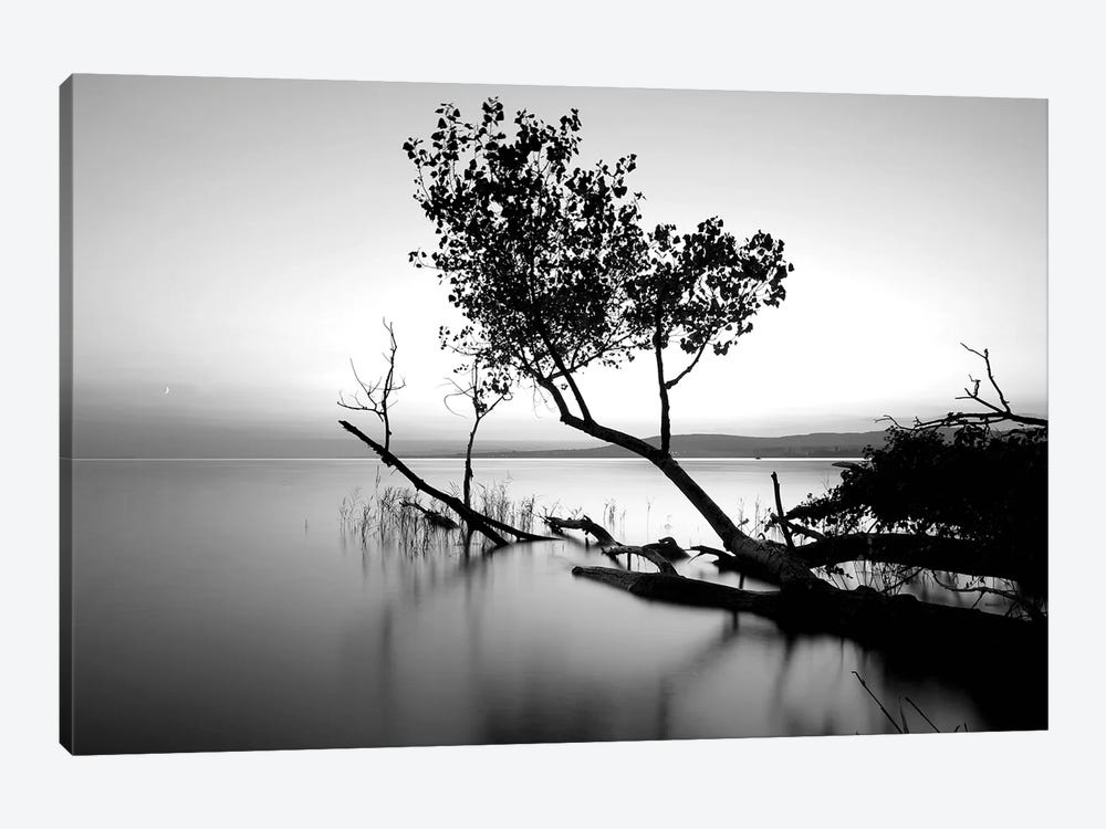 Great Lake by PhotoINC Studio 1-piece Canvas Print