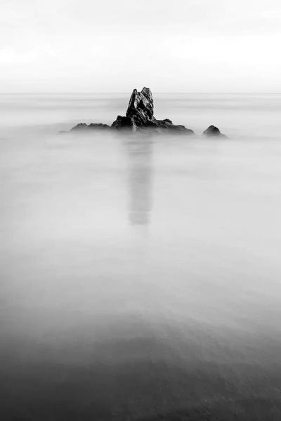 In The Mist I