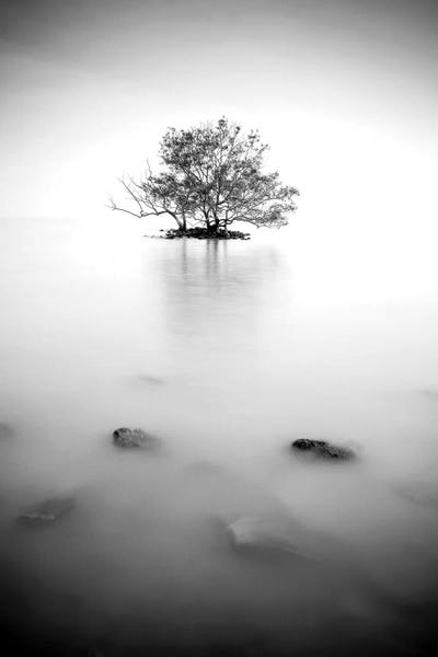 Mist & Fog: In The Mist II by PhotoINC Studio