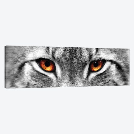 Lynx Eyes Canvas Print #PIS82} by PhotoINC Studio Canvas Art