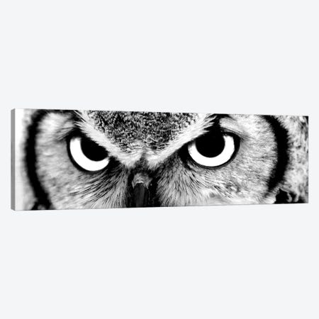 Owl Eyes Canvas Print #PIS92} by PhotoINC Studio Canvas Print