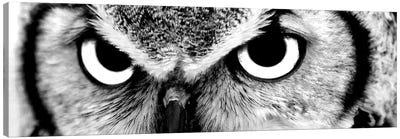 Owl Eyes Canvas Art Print - Black & White Animal Art
