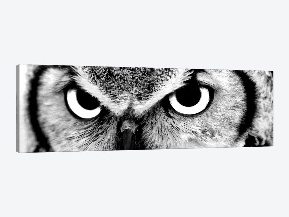 Owl Eyes 1-piece Canvas Art Print