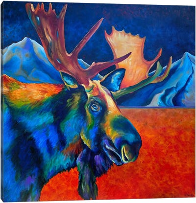 Big Bull Moose Canvas Art Print - Moose Art