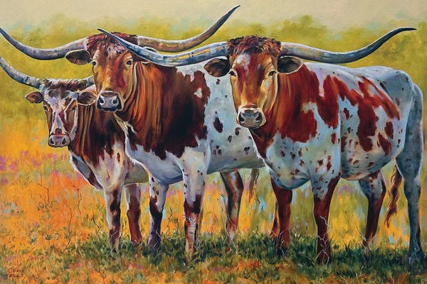 Longhorns: Tripset by Jill and Robert Pankey