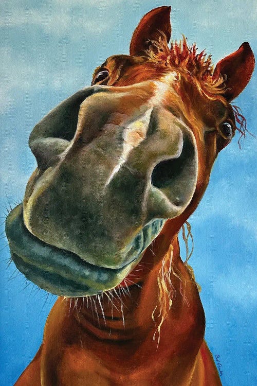 Nosey by Jill and Robert Pankey wall art