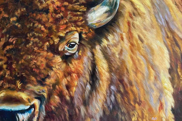 Buffalo: Suspicious by Jill and Robert Pankey