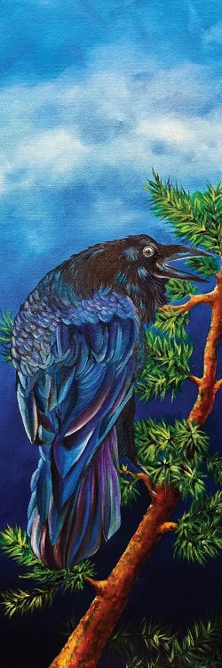 Perching Raven