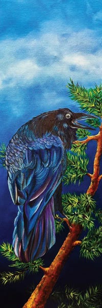 Perching Raven