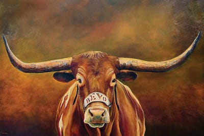 Bulls
