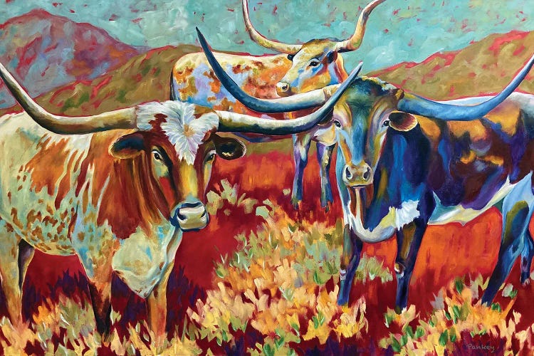 Hill Country Longhorns by Jill and Robert Pankey wall art