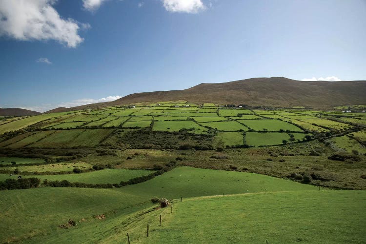 Irish Countryside, Ireland, Farms, Landscape, Scenic