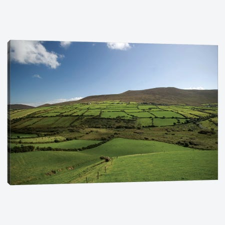 Irish Countryside, Ireland, Farms, Landscape, Scenic Canvas Print #PJW4} by Patrick J. Wall Canvas Print