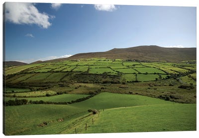 Irish Countryside, Ireland, Farms, Landscape, Scenic Canvas Art Print - Ireland Art