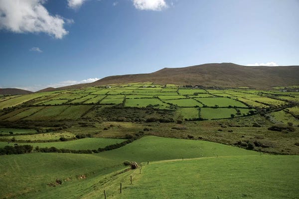 Ireland: Irish Countryside, Ireland, Farms, Landscape, Scenic by Patrick J. Wall