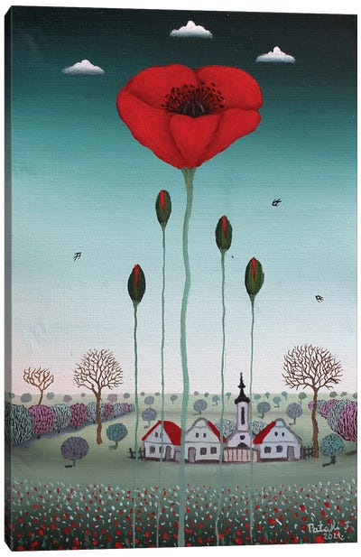 Red Poppy Canvas Art Print - Ferenc Pataki