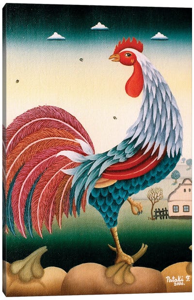 Rooster Canvas Art Print - Ferenc Pataki