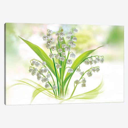 Lily Of The Valley Canvas Print #PKR14} by Jacky Parker Canvas Artwork