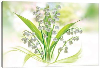 Lily Of The Valley Canvas Art Print - Lily Art