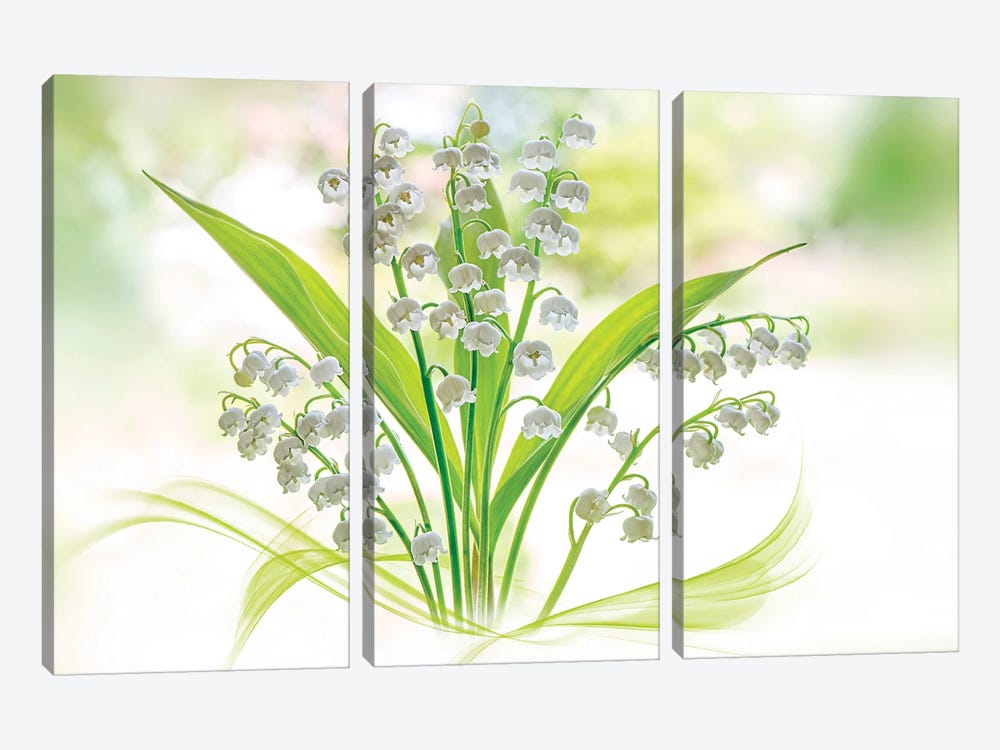 Lily Of The Valley by Jacky Parker 3-piece Canvas Artwork